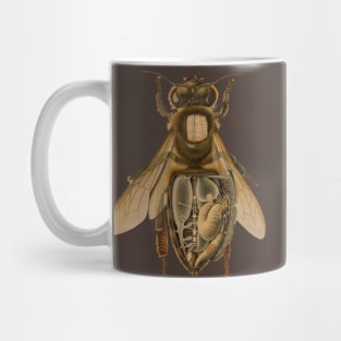 Anatomy of a Bee Mug